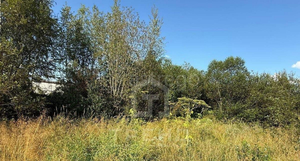 Земельный участок, 6 соток Санкт-Петербург - изображение 4