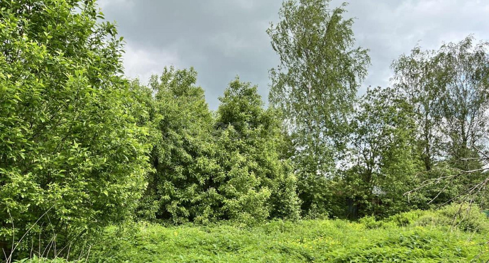 Земельный участок, 7.8 сотки Санкт-Петербург - изображение 6