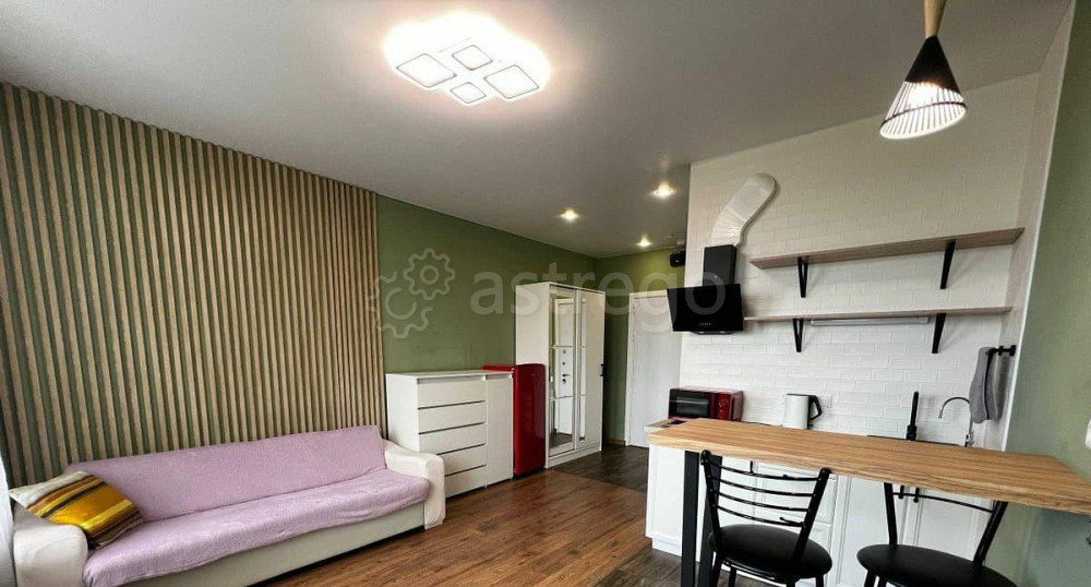 Студия, 25 м2, 24/30 эт. Москва - изображение 7