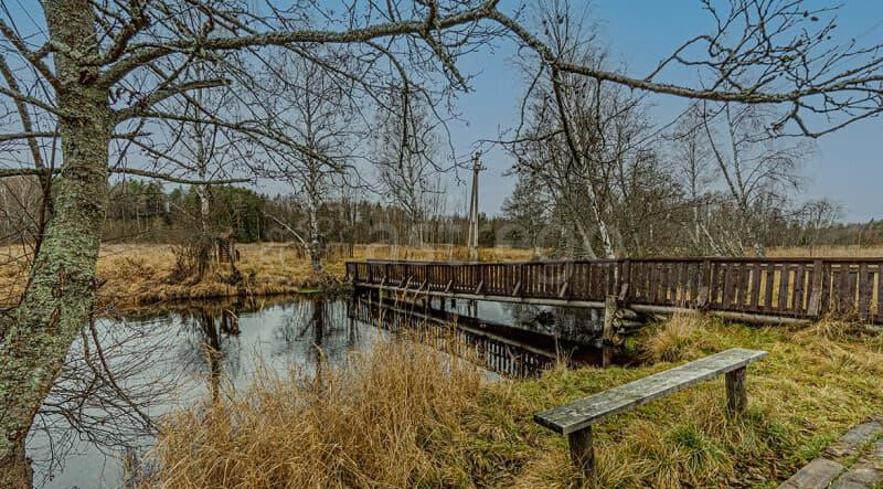 Коттедж, 470 м2 Зеленогорск - изображение 9