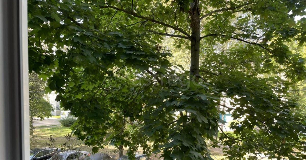 3-комн. квартира, 54.7 м2, 2/5 эт. Сергиев Посад - изображение 7