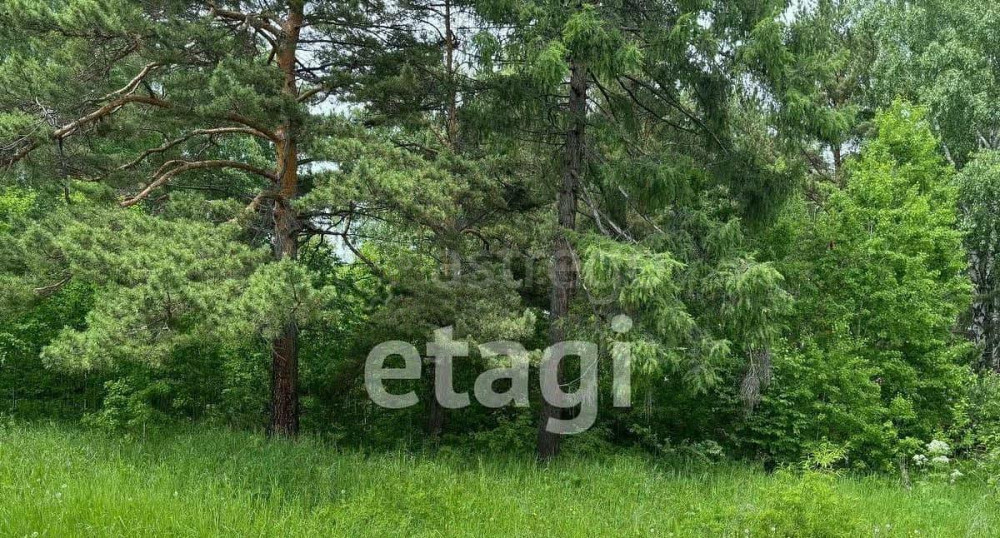Земельный участок, 20.1 сотки Емельяново - изображение 2