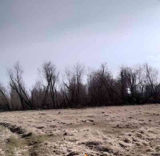 Земельный участок, 2.4 га Архангельск