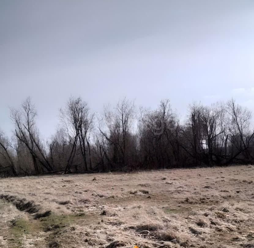 Земельный участок, 2.4 га Архангельск - изображение 6