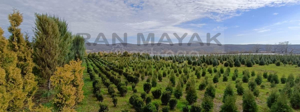 Торговое помещение, 37662 м Тульский - изображение 1