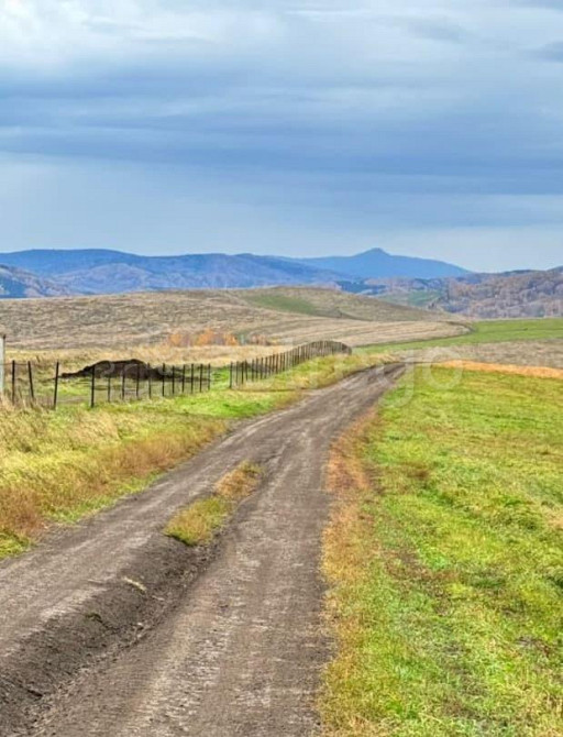 Земельный участок, 70 га Алтайское - изображение 4