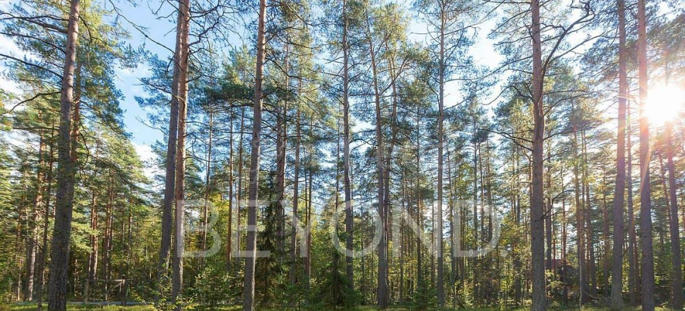 Земельный участок, 20 соток Санкт-Петербург - изображение 6