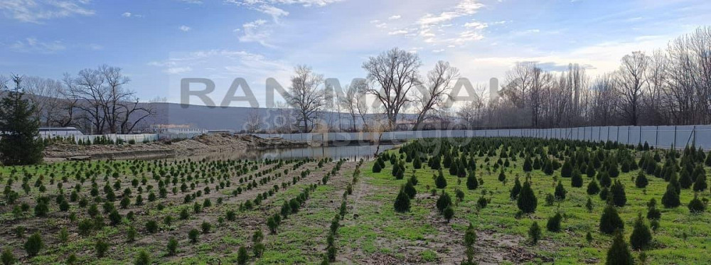 Торговое помещение, 37662 м Тульский - изображение 6