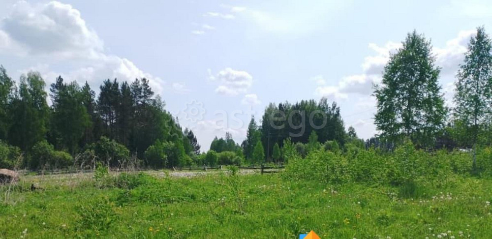 Земельный участок, 7.28 га Березовка - изображение 5