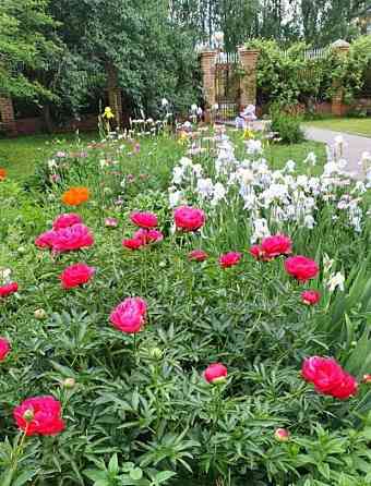 Коттедж, 365.4 м2, 12 соток, 3 эт. Луховицы