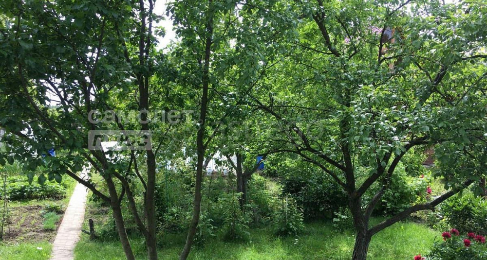 Дом, 74 м2, 7.22 сотки, 2 эт. Щёлково - изображение 3