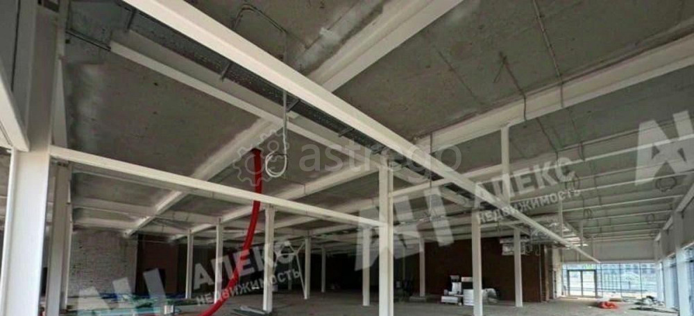 Свободного назначения, 1400 м2 Мытищи - изображение 5