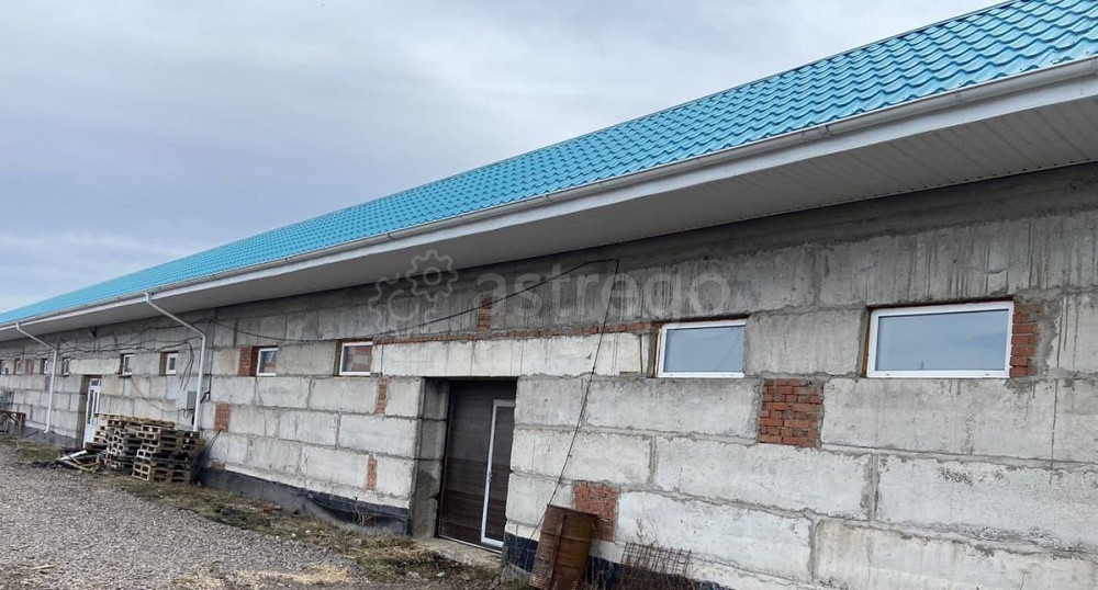 Производственное, 5000 м2 Емельяново - изображение 5