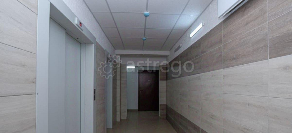 Студия, 24.8 м2, 12/14 эт. Красноярск - изображение 2