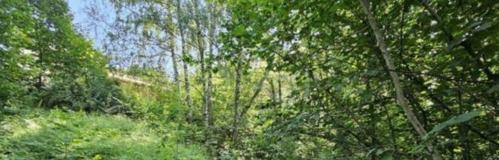 Земельный участок, 8.36 сотки Химки - изображение 2