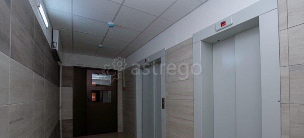 Студия, 24 м2, 7/14 эт. Красноярск - изображение 4