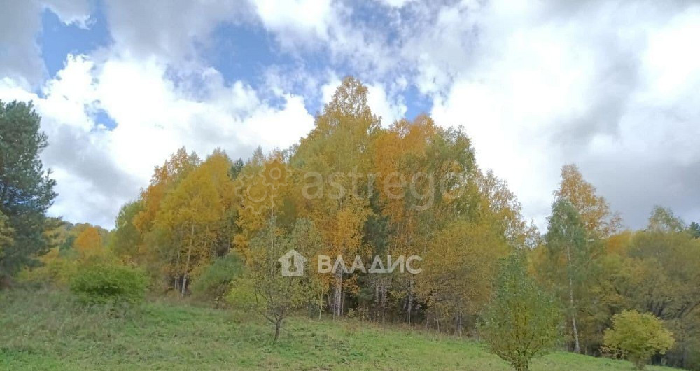 Коммерческий участок, 3.18 га Белокуриха - изображение 1