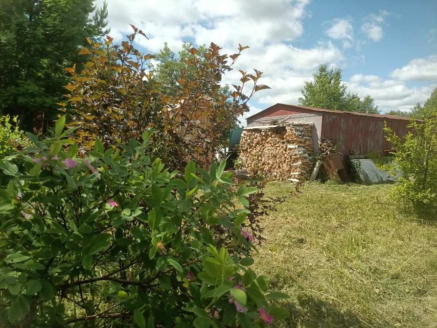 Участок, ИЖС, 11 сот. Новосибирск - изображение 2