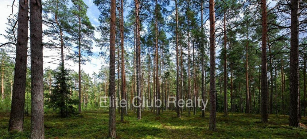 Земельный участок, 20 соток Санкт-Петербург - изображение 3
