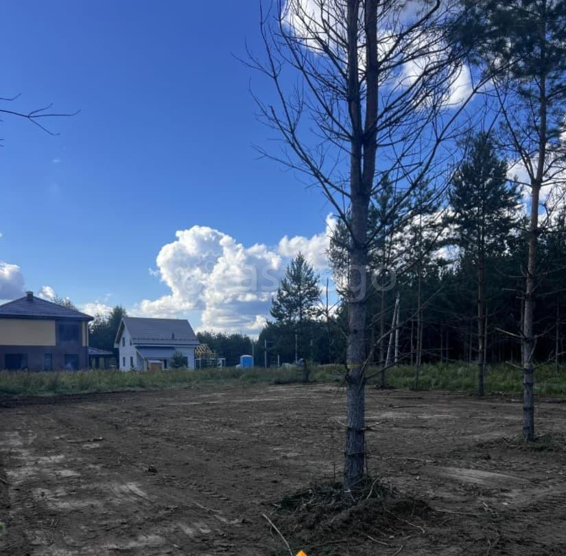 Земельный участок, 8 соток Раменское - изображение 4