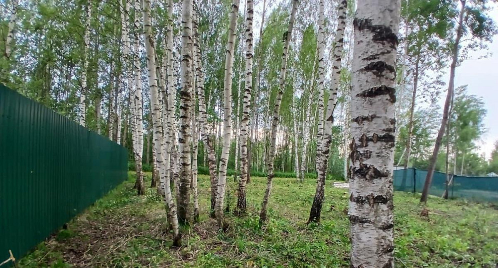 Земельный участок, 9 соток Павловский Посад - изображение 2