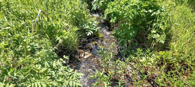 Коммерческий участок, 27 соток Алтайское - изображение 6