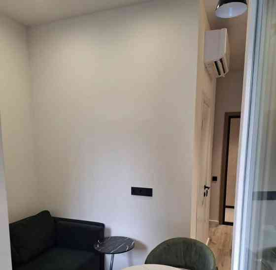 1-комн. квартира, 20 м2, 2/9 эт. Москва