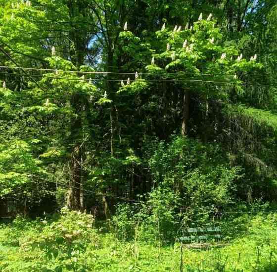 Земельный участок, 0.53 га Лобня