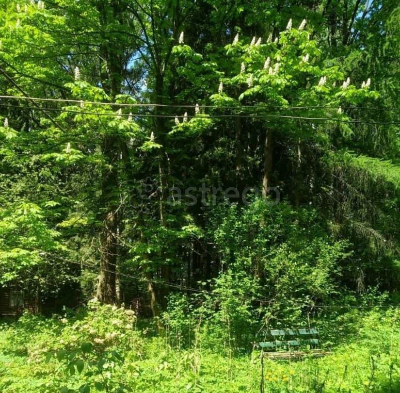 Земельный участок, 0.53 га Лобня - изображение 4