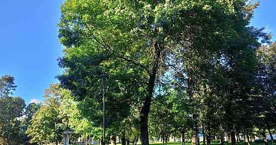 Комната, 25.3 м2, 4/5 эт. Санкт-Петербург