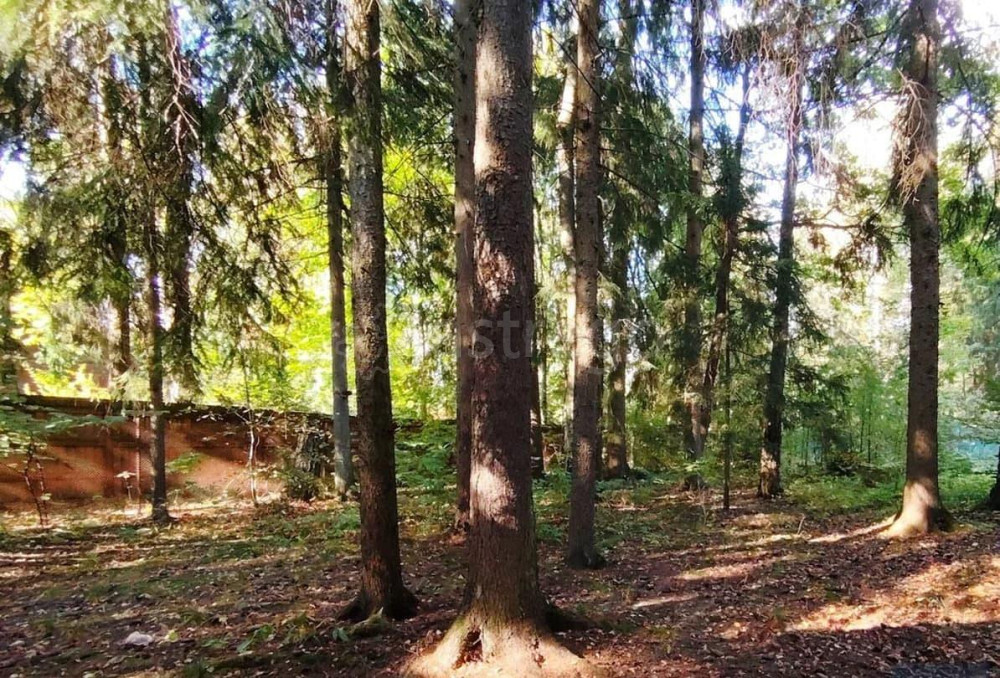 Земельный участок, 14.8 сотки Апрелевка - изображение 2