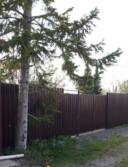 Земельный участок, 6.2 сотки Емельяново - изображение 4