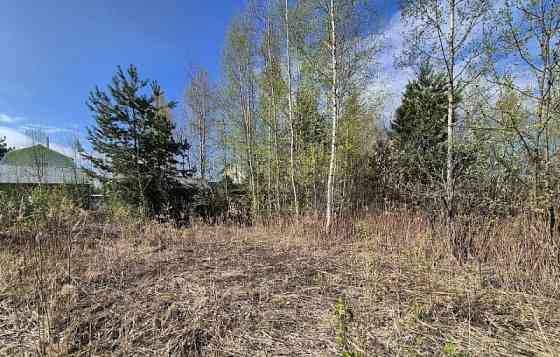 Земля с/х назначения, 4.52 сотки Электрогорск