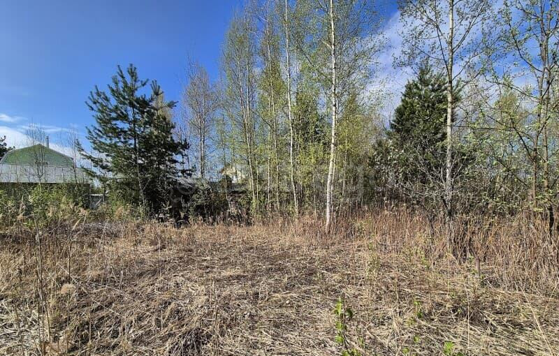 Земля с/х назначения, 4.52 сотки Электрогорск - изображение 5