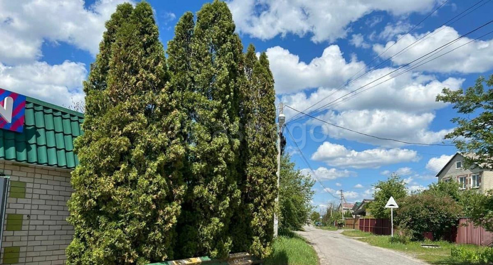 Отдельное здание, 51 м2 Стрелецкое - изображение 6