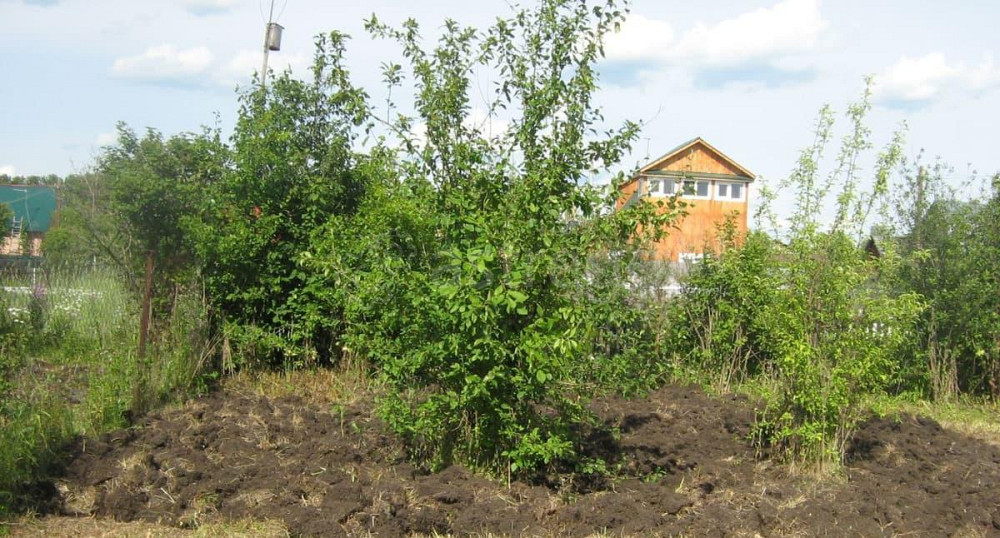Земельный участок, 4.55 сотки Уфа - изображение 2