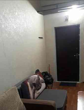 Комната, 15 м2, 3/3 эт. Лыткарино