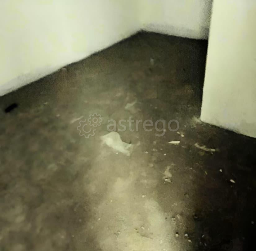 Склад, 16 м2 Красноярск - изображение 1