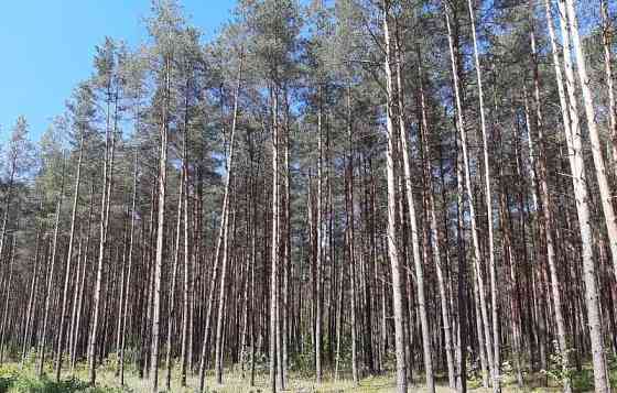 Земля под ИЖС, 9 соток Павловский Посад