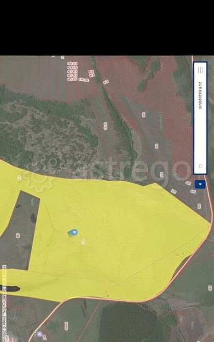 Земельный участок, 271 га Емельяново - изображение 2