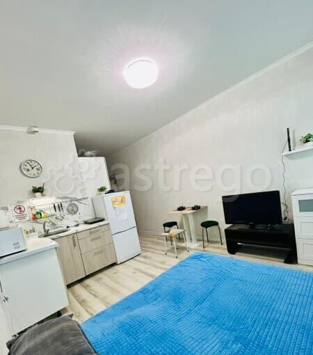 Студия, 27 м2, 8/17 эт. Балашиха - изображение 7