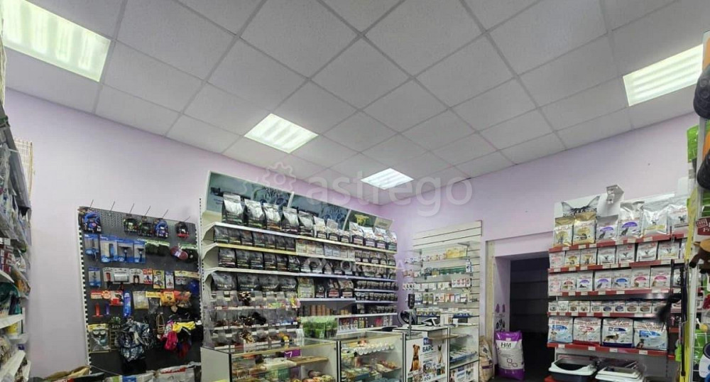 Свободного назначения, 78 м2 Электроугли - изображение 3