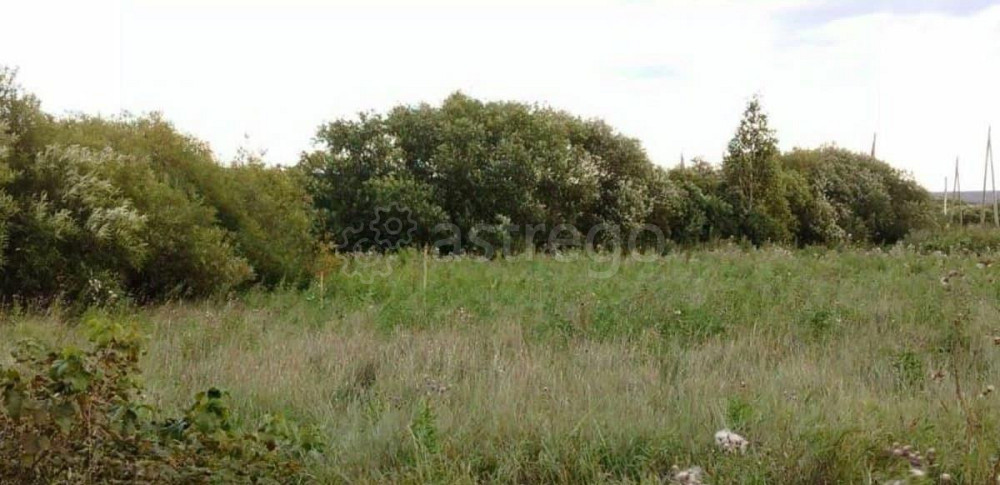 Земельный участок, 10.5 сотки Емельяново - изображение 5