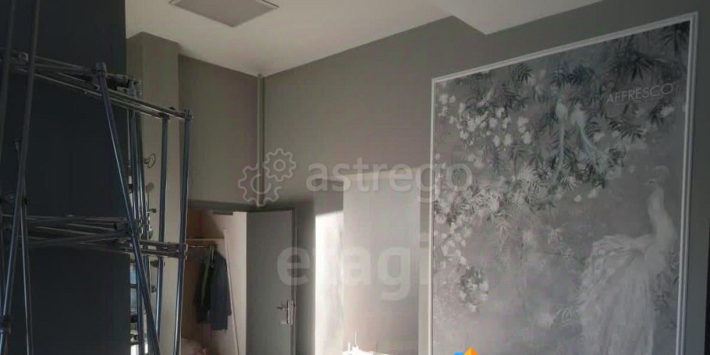 Торговое помещение, 499 м2 Барнаул - изображение 3