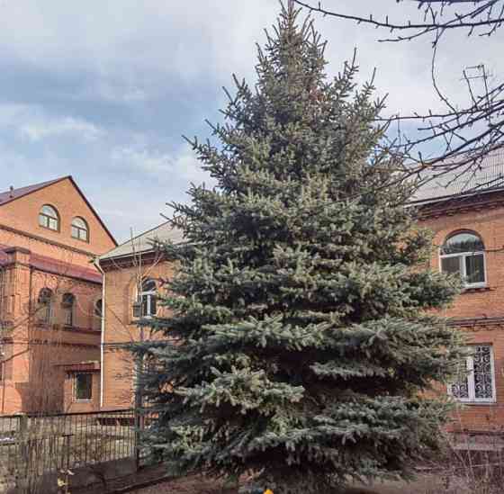 Коттедж, 302 м2, 9.5 сотки, 3 эт. Красноярск