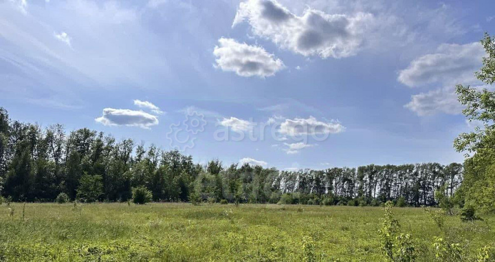 Земельный участок, 21.6 га Кармаскалы - изображение 4