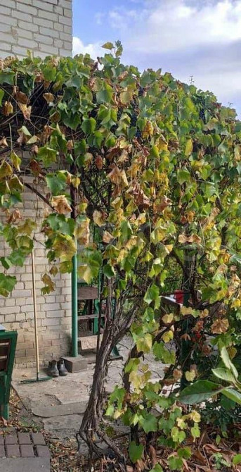 Дача, 27 м2, 6.4 сотки, 2 эт. Таврово - изображение 6