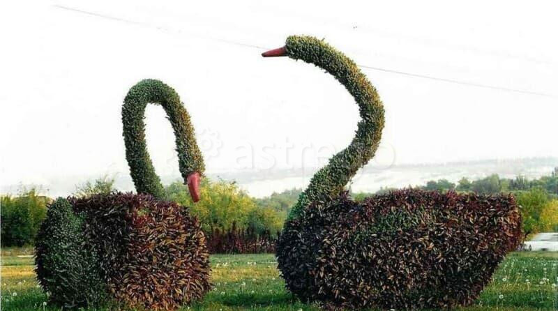 1-комн. квартира, 30 м2, 3/4 эт. Губкин - изображение 1