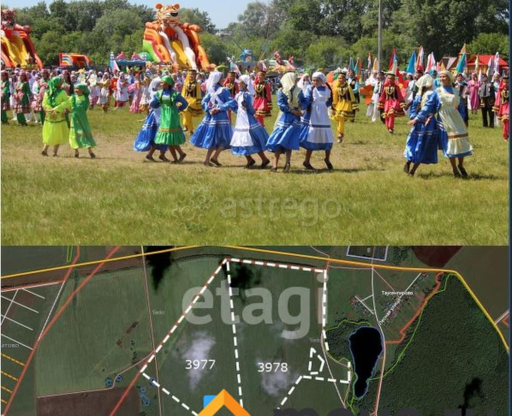 Земельный участок, 17.38 га Кармаскалы - изображение 3