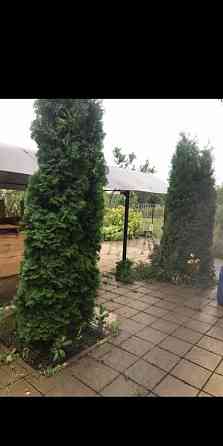 Дача, 100 м2, 6 соток, 2 эт. Старый Оскол